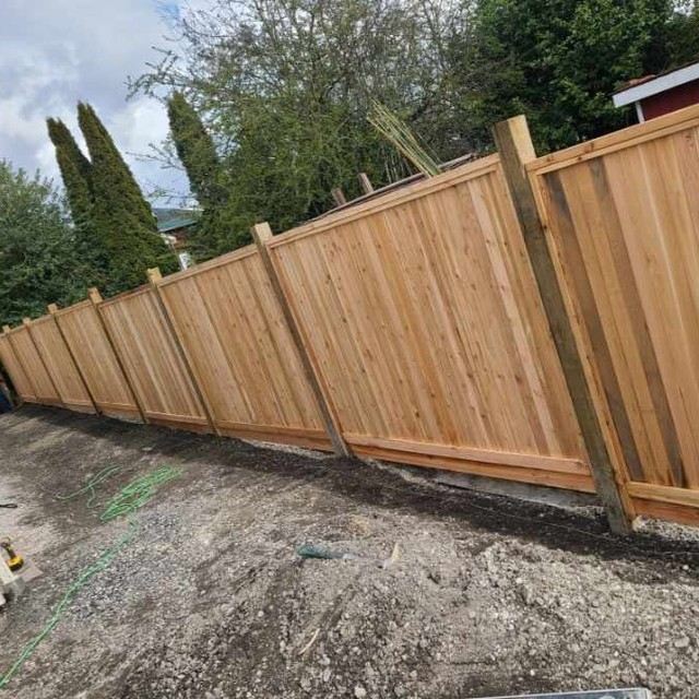 Long run of new cedar privacy fencing