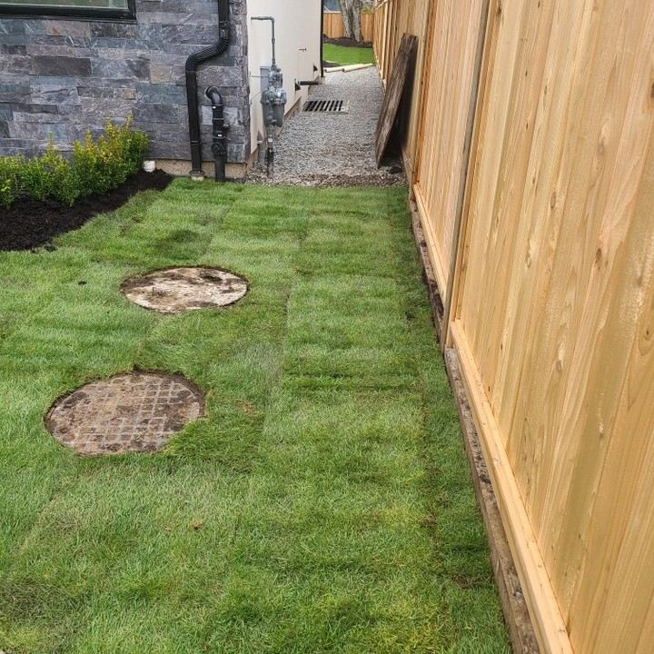 New sod lawn with drainage access lids beside a cedar fence
