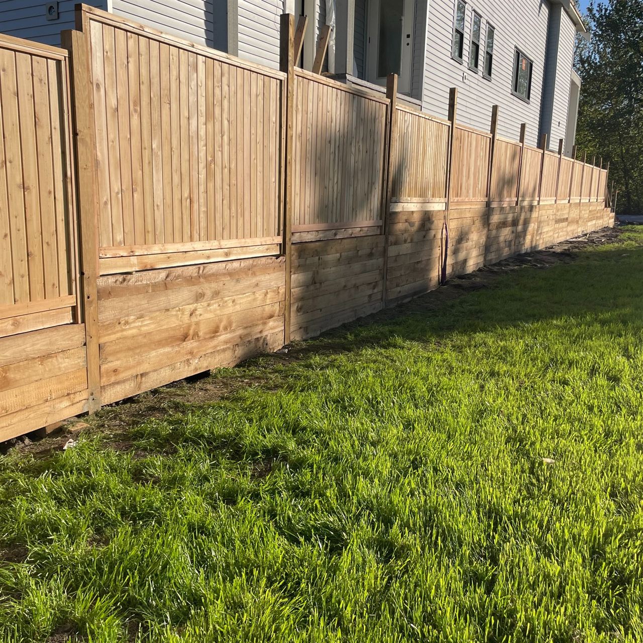 New cedar fence beside a freshly seeded lawn